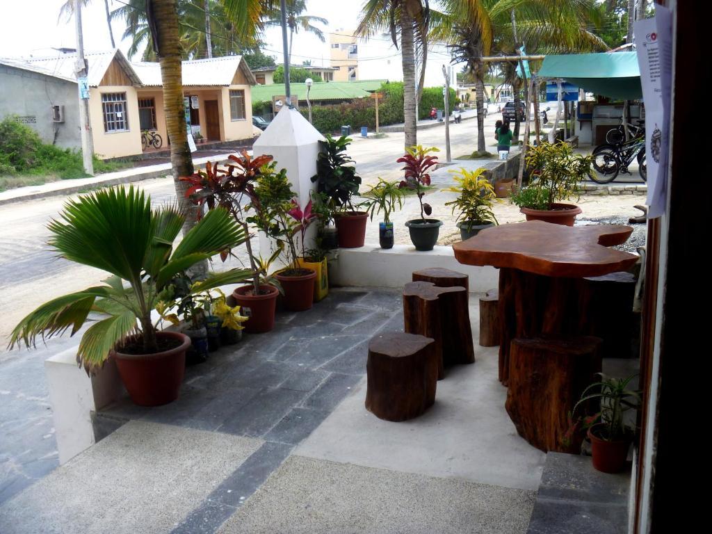 فندق Casa Los Delfines بْوُرتو فيلاميل المظهر الخارجي الصورة